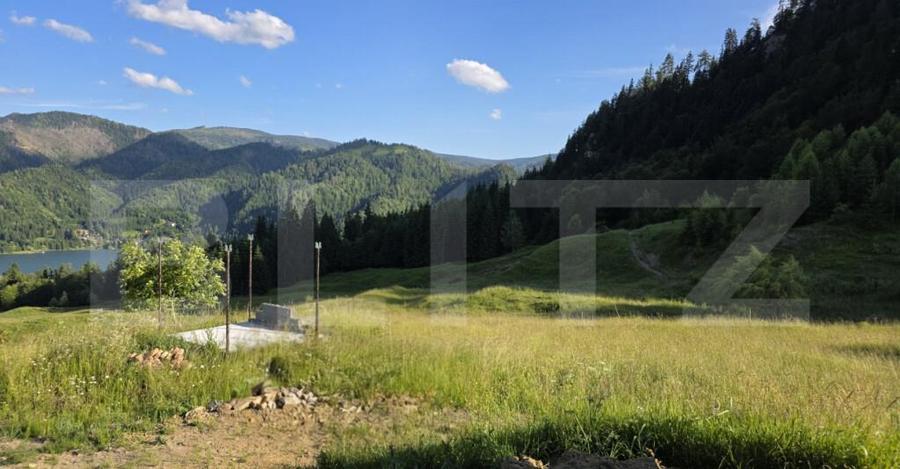 ???? Teren intravilan, de vanzare, 5 hectare, zona Colibita - 2