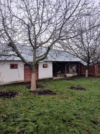 Casa cu teren de vanzare in comuna Verguleasa, judetul Olt - 6