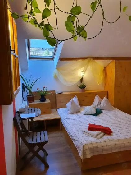 OCAZIE UNICA: Casa cu gradina in cel mai bun loc din Sinaia! Reziden?ial sau Pensiune - Restaurant - 6