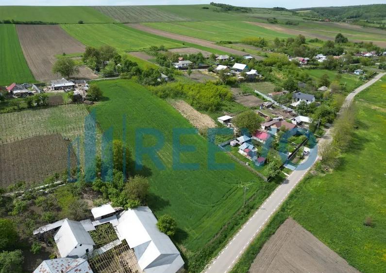 Teren de vanzare, Sat Valea Mare, Com. Ro?iori, Bacau - 4