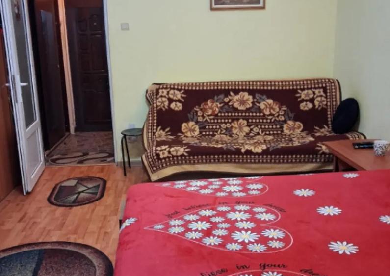 Garsoniera de vanzare, 30.47 mp, zona Brazda lui Novac - 9