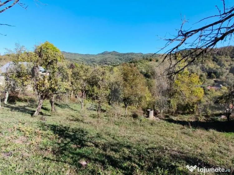 Teren cu priveli?te superba , livada ?i poten?ial casu? - 6