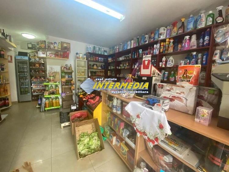 Spatiu comercial 33 mp de vanzare Alba Iulia Cetate - 6