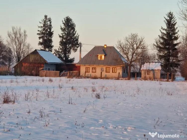 Casa de vanzare-Fratau?ii Noi, str. Carstei nr.35 - 3