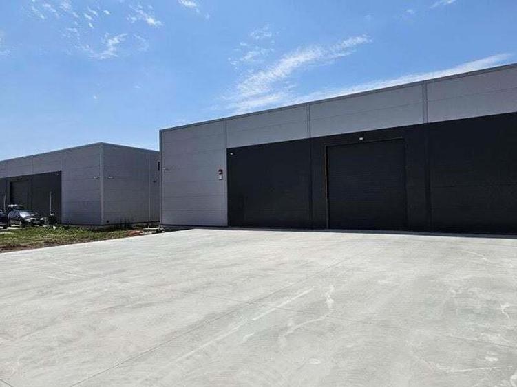 Pantelimon DN3 hala 600 mp - 7