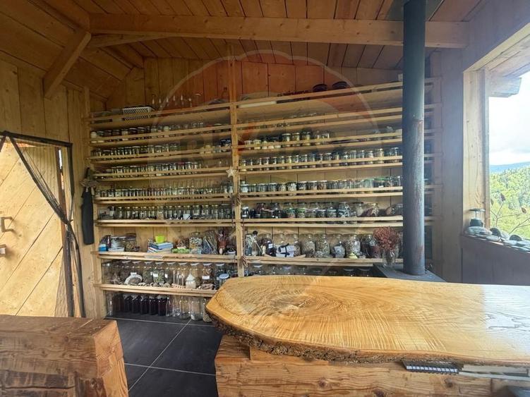 Proprietate eco-turistică de vânzare – 62.330 mp, Horea, Alba - 26