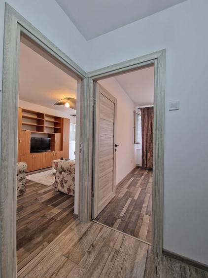 Sos. Viilor - Parc Carol - Apartament 2 camere - renovat - mobilat utilat modern - 6