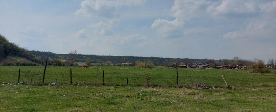 Teren intravilan 3109mp - 8