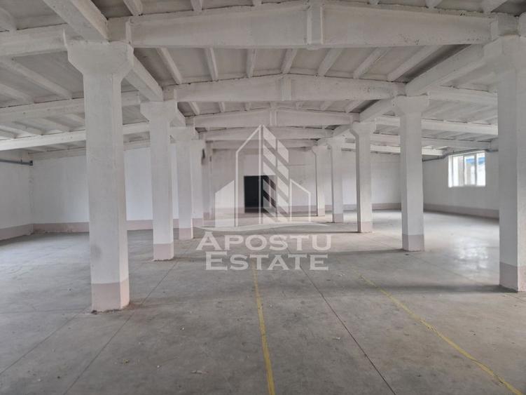 Hala depozitare,productie,birouri,2000mp, zona sud-vest - 8