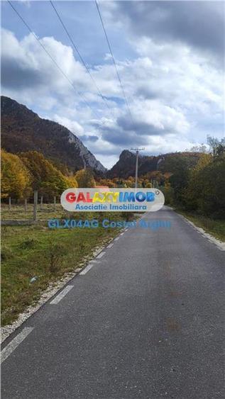 Vindem teren 20000 mp Cheile Rasnoavei - Brasov , pentru case vacanta - 8