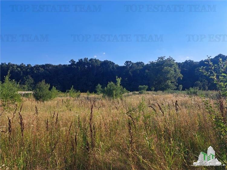 Casa cu teren 3579mp in com. Cascioarele, Jud. Giurgiu - 6