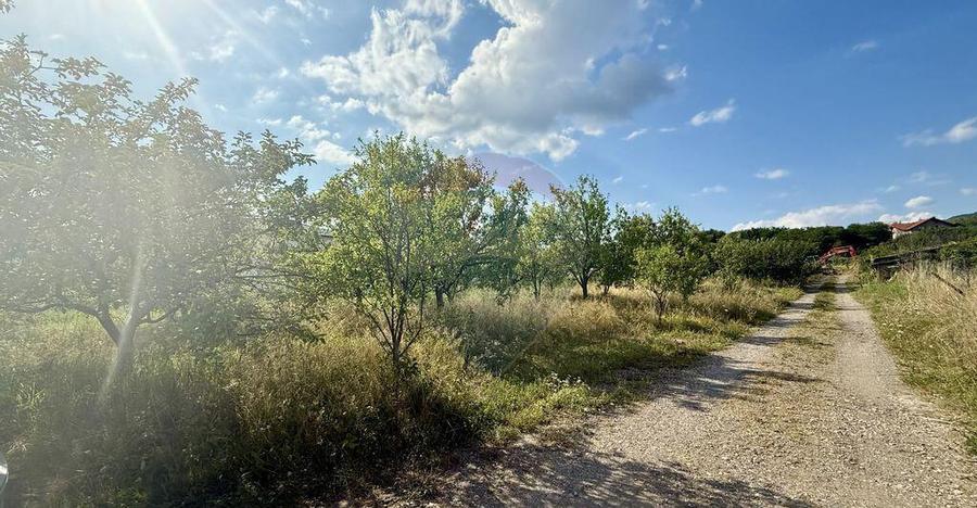 Teren Tautii-Magheraus - 4