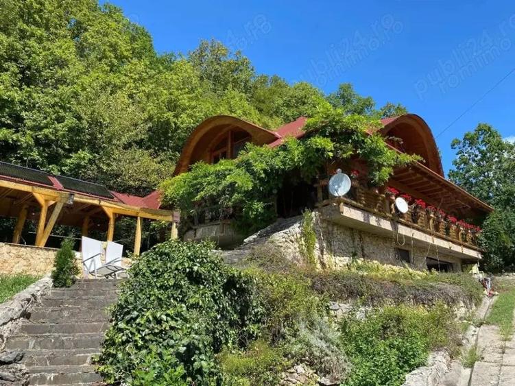 Domeniu exclusivist 17.000 mp | Vila luxury cu piscina & SPA - 1