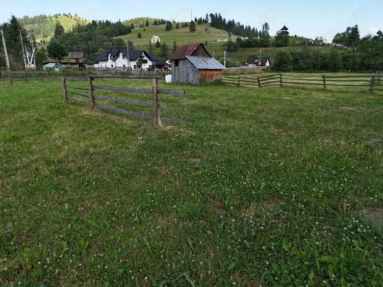 Teren de vanzare intravilan in Bucovina Breaza - 10