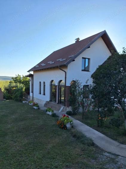 Vand casa spatioasa cu livada si teren generos (7200 mp) in Catamaresti-Deal, Botosani - 5