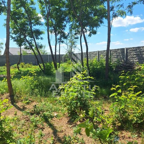 Duplex in Bucovat - 4