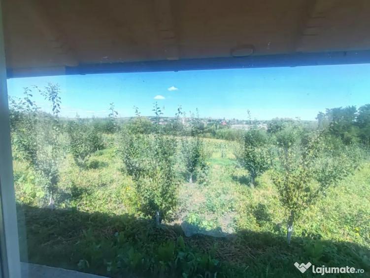 Casu?a tip foi?or, 30 mp, pe un teren de 3.000 mp, veder - 7