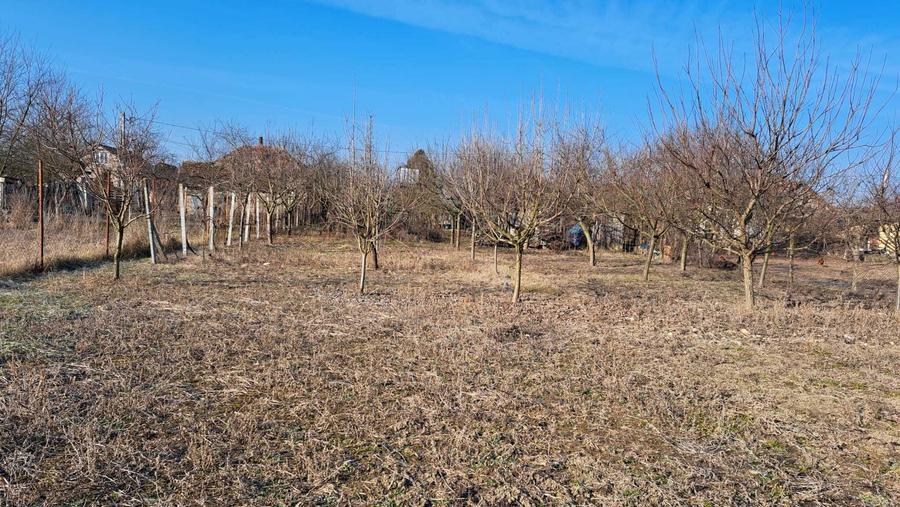 De vanzare loc de casa Sat Niuved, Comuna Tamaseu - 2