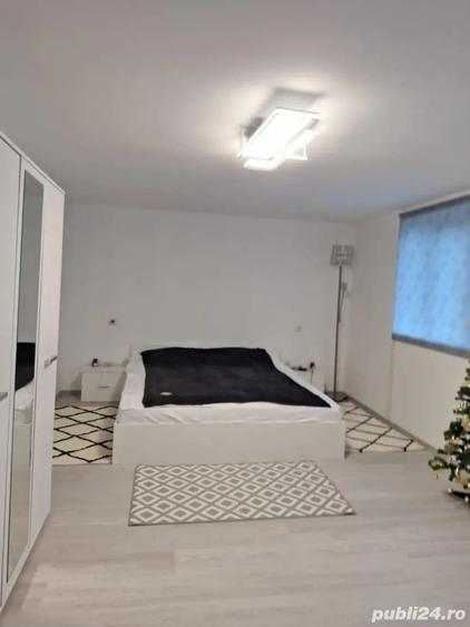 Casa de vanzare in Tormac Jud. Timis - 3