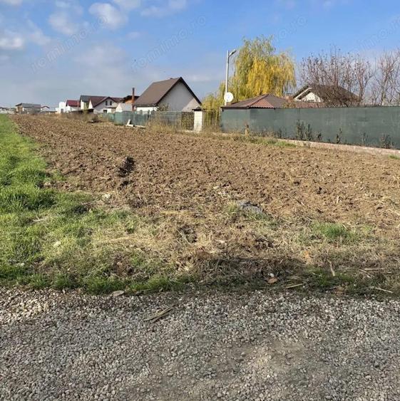 Teren 1800mp Intrarea Nefliu Magurele - 1