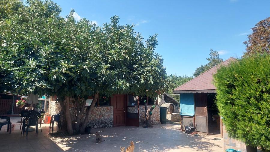 Vanzare 3 case moderne + 3 anexe si 2000 mp teren gradina, pomi in Tuzla la mare - 40