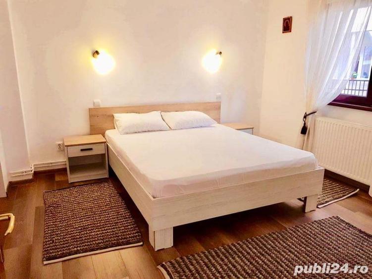 Casa Bunicii Sinaia - 10