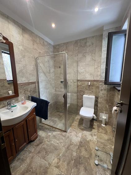 Dimitrie Leonida Metrou - 34