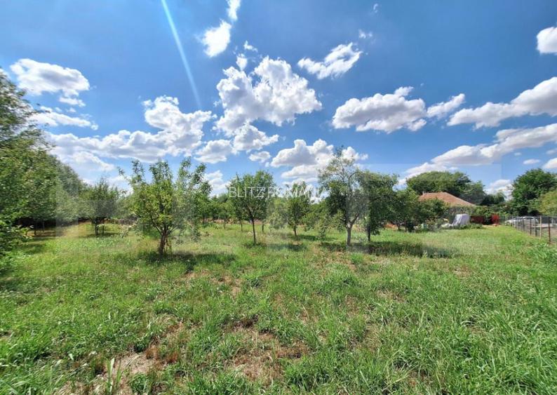 Casa cu teren intravilan, 4600 mp, investiitii/dezvoltare! Casa cu teren intravilan, 4600 mp, investiitii/dezvoltare!