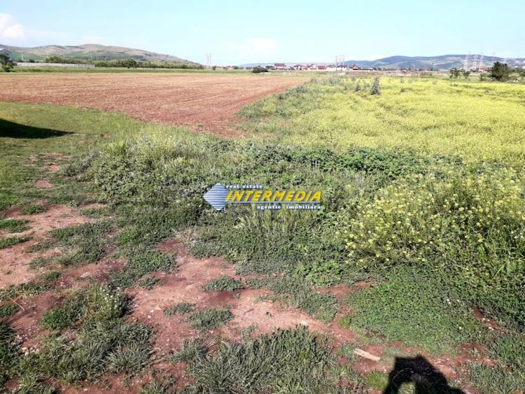 Teren Intravilan de vanzare 3550 mp Alba-Micesti - 1