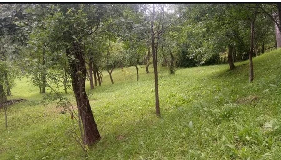 Teren Casa de vacanta Campina/Sotrile - 1