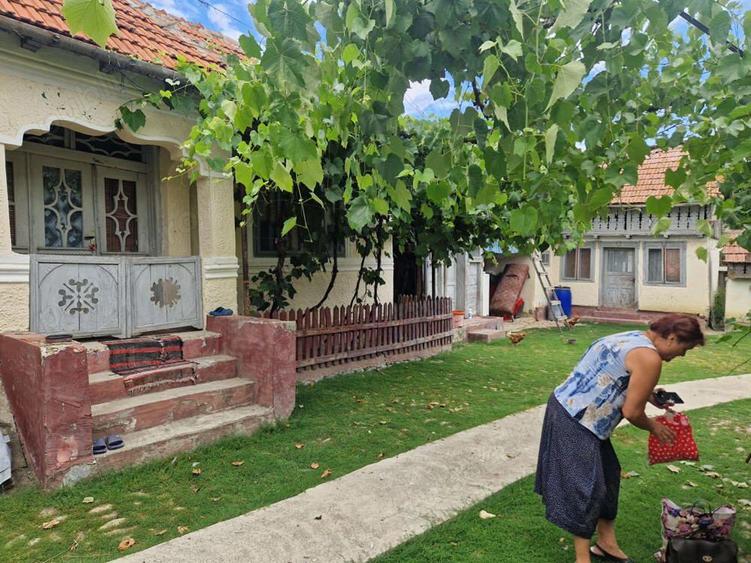 Vand gospodarie taraneasca - 1