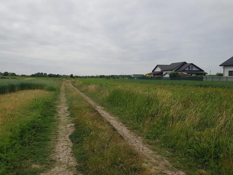 Loturi de teren parcelat, Sabareni, intravilan, 620-650 mp - 4