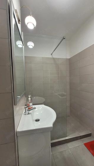 Inchiriez apartament cu o camera amplasat central - 5