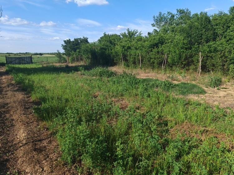 VANZARE CASA INDIVIDUALA - 20