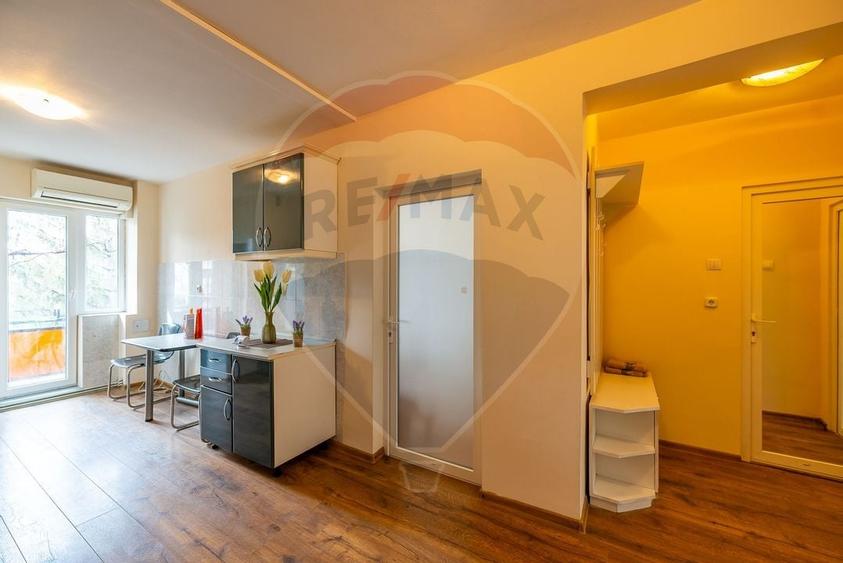 Apartament 3 camere de inchiriat in zona Ultracentral - 4