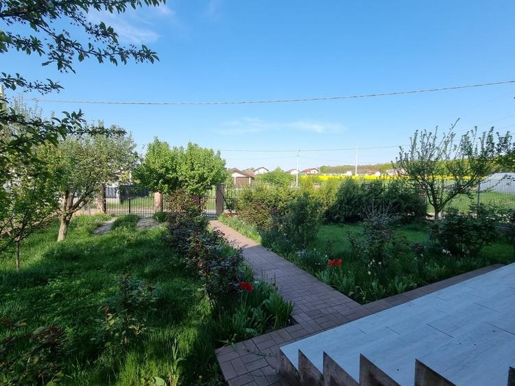 Branesti - Pasarea - 3