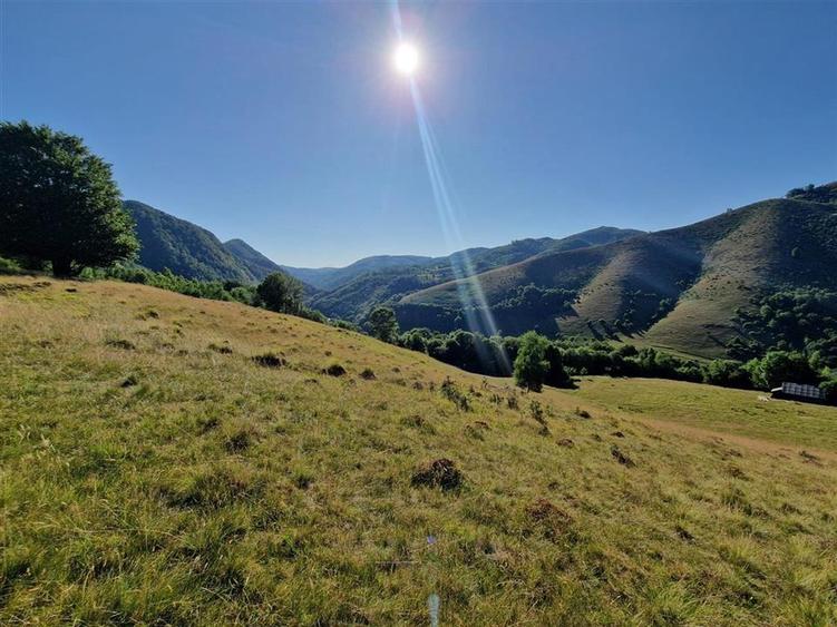 RECO teren extravilan Remeti - 3