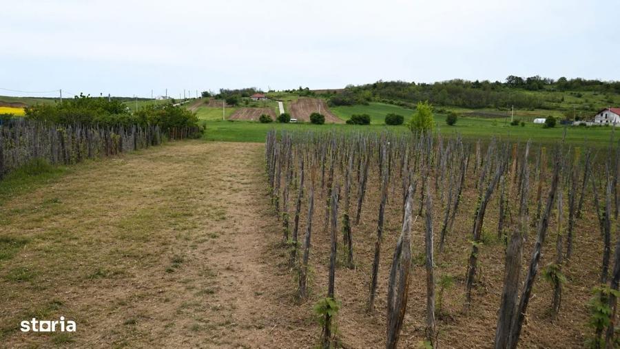 Casa de vanzare 2 locuinte in aceeasi curte, teren generos 3.855 - 3
