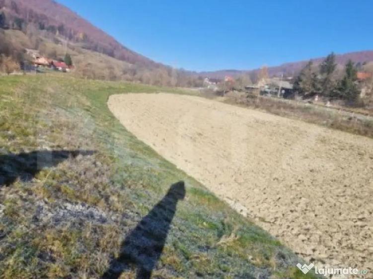 Teren extravilan - Sita Buzaului -6800 mp posibilitate trece - 5