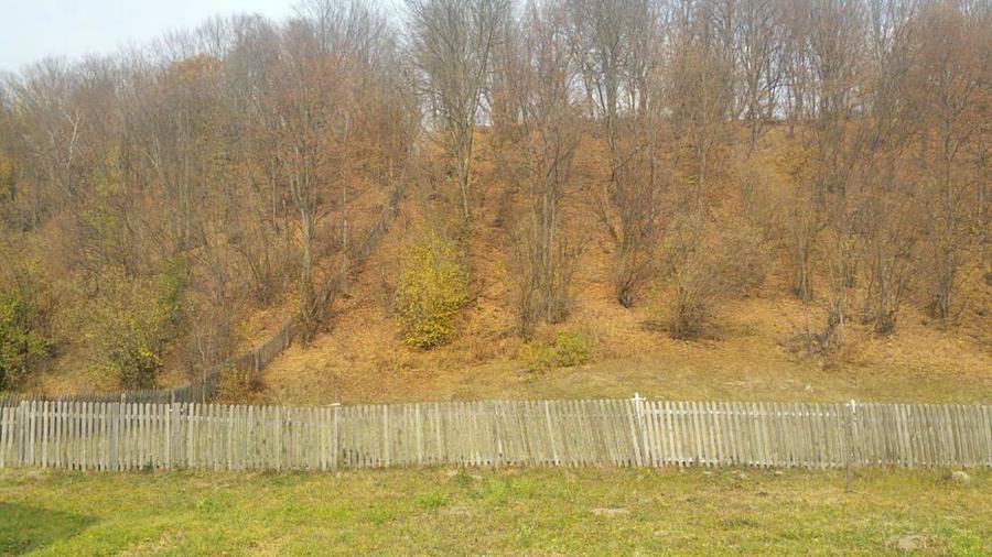 Cabana cocheta si teren la munte - 2