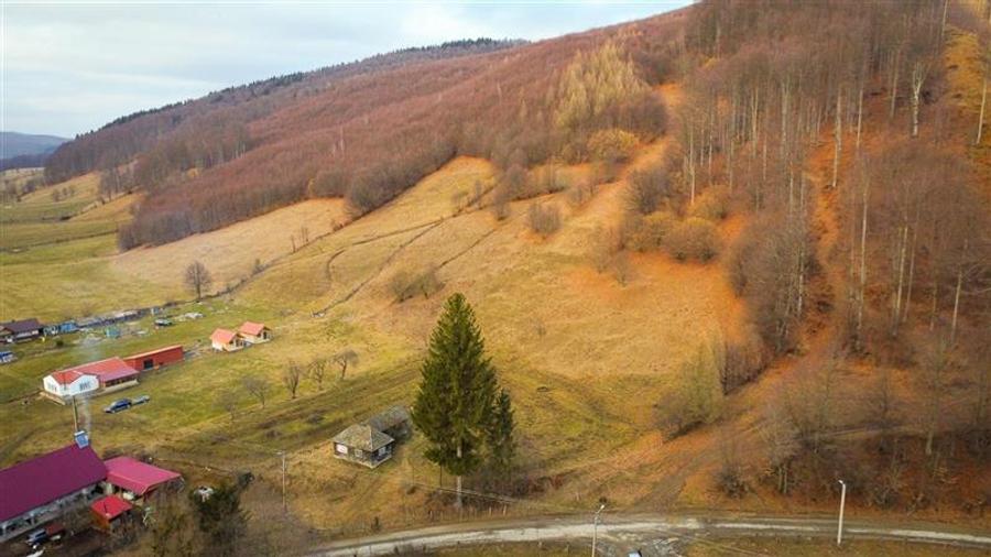 Teren la poalele padurii,Buzaiel,Vama Buzaului,DJ,constructie +utilitati,Brasov - 11