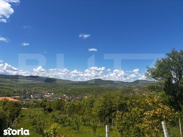 Teren extravilan de vanzare, 2500 mp, zona Valea Sigmirului - 5