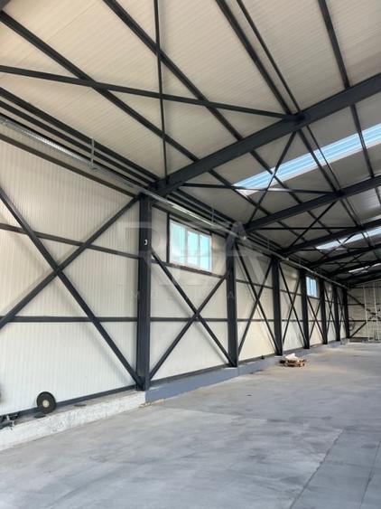 Hala de Vanzare Centura  / Magurele - 4