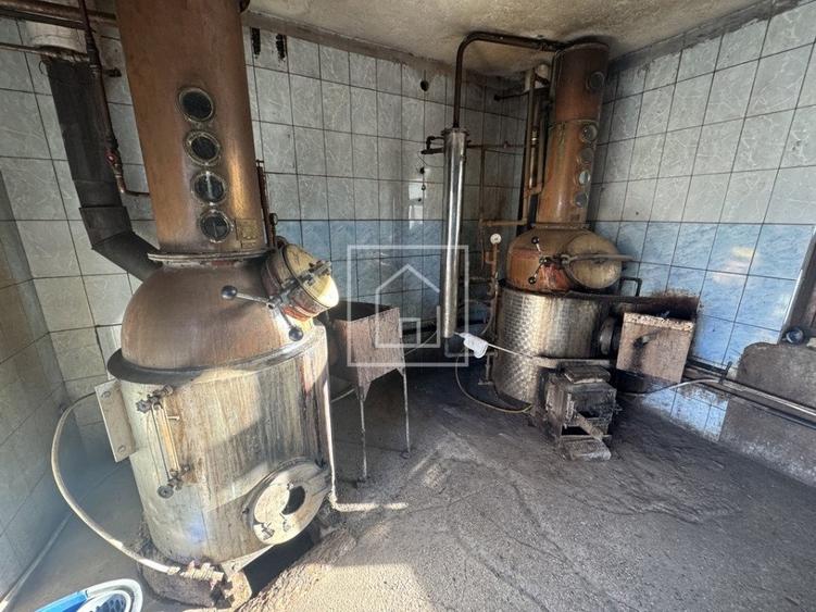 Teren cu cladiri productie alcool si gater – functional – Cisnadie - 2