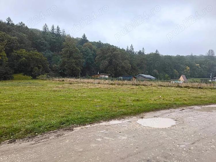 Teren intravilan de vanzare 2.000 mp, Cristian - Bra?ov. - 3