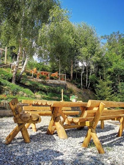 Oportunitate de investitie - pensiune de vanzare Moieciu de Jos - 10