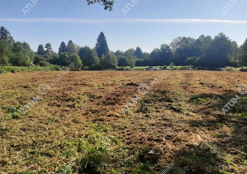 Teren intravilan de 1856 mp in Avrig zona Valea Avrigului - 5