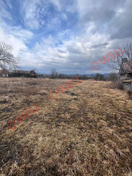 De vânzare teren intravilan în Pachia! - 6