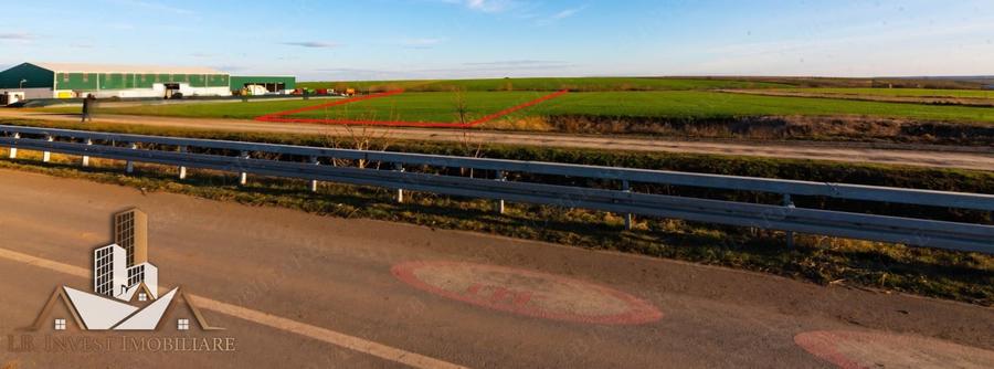 Teren Giarmata-PUG de locuinte- 100.000euro - 3