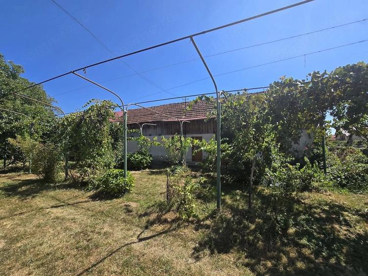 Casă cu Teren 11397 Mp în Central